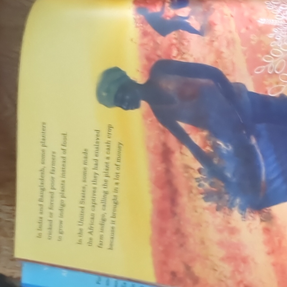 Blue Book by Nana Ekua Brew-Hammond - Picture 11 of 12